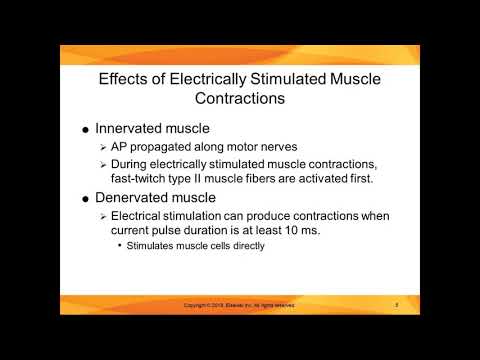 Chapter 12 Lecture Estim for Muscle Contraction