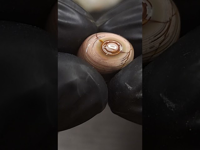 حجر عقيق سليماني يماني طبيعي