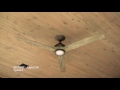 Fanimation MA6721 Spitfire 60 Ceiling Fan Motor Only