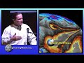 Geoengineering Watch Global Alert News February 19 2022 341 Dane Wigington