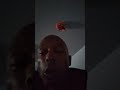 Young Black Girls Sucking Dick