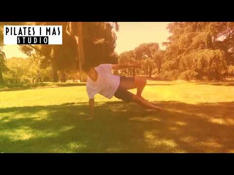 animal flow verano 18