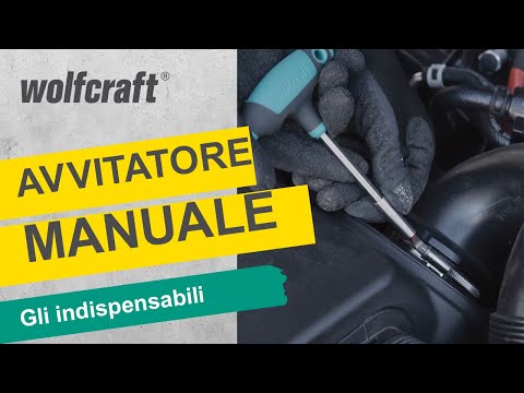 1235000_T-Hand-Screwdriver-With-Bit-Socket_PRO_SCP_it_2023.mp4