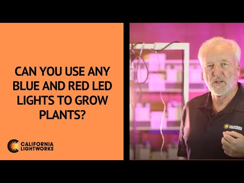 Can You Use Any Blue and Red LED Lights to Grow Plants?