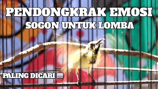 Download lagu SOGON GACOR NGLEPER ❗PANCINGAN EMOSI❗CUMA SEBENTAR mp3
