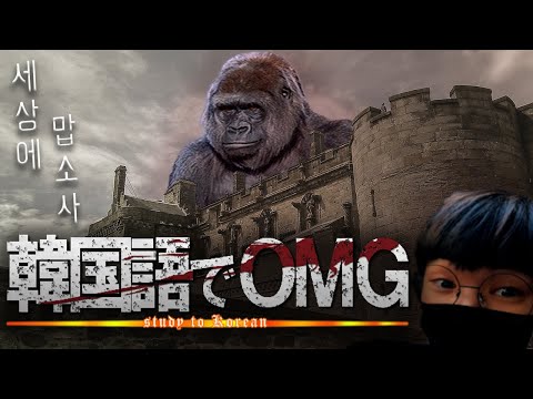 「OMG」: OMG とはどういう意味ですか?意味と使い方