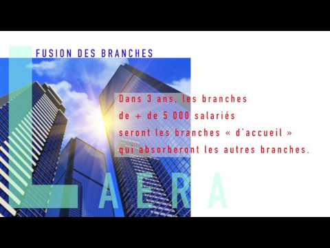 LAERA NEWS - FUSION DES BRANCHES