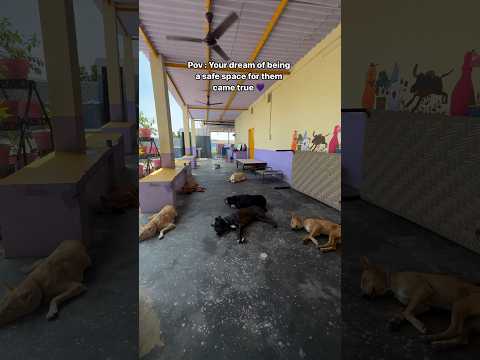 Our Tabassum foundation, a home of hope for them🧡