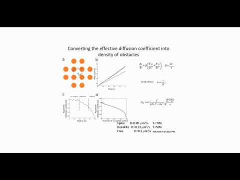 Analysis of Single Particle trajectories