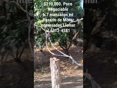 Propiedad pequeña finca en venta en Rosario de Mora San Salvador. precio $210,000 poco negociable.