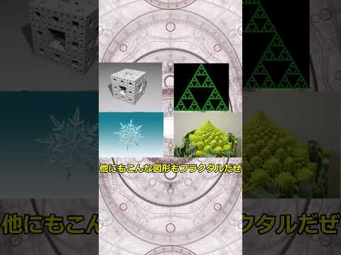 ハウスホルダー法フラクタル.jpg