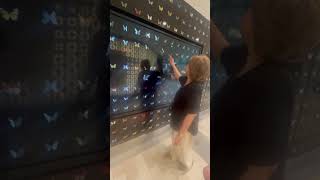 Ovation of the seas butterfly wall.
