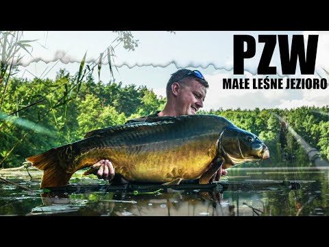 WIELKIE KARPIE Z PZW! TO BYŁ SZOK!