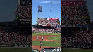 39号ホームラン後のテルコール🐯 10月3日阪神vs広島 #佐藤輝明 #阪神タイガース #阪神 #テル #ホームラン#連覇