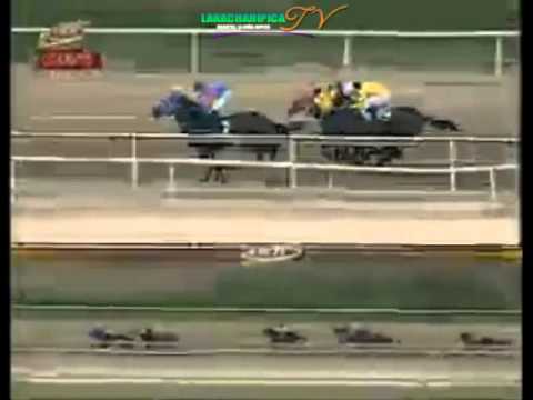 LA RINCONADA 11 CARRERA, DOMINGO 07 DE JUNIO DEL 2015