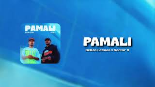 Download lagu PAMALI - Dellon Letsion x Sector 3 | lirik | MuskNP mp3