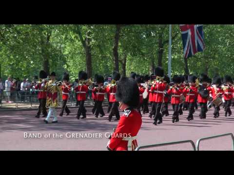 Guards march down The Mall 2010