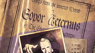 Sopor Aeternus - Little Velveteen Knight - Yet, you must get me right... (Extract)