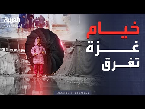 فيديو | النشرة الصباحية | الموت والبرد والأمطار.. مأساة جديدة للنازحين في غزة