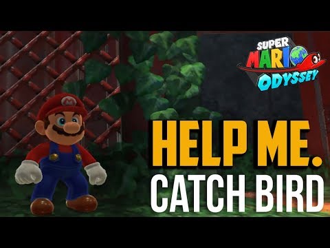 Super Mario Odyssey : How to EASILY Get Bird Traveling in Forest Moon 62 in Wooded Kingdom