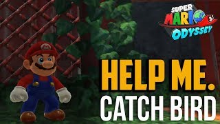 Super Mario Odyssey : How to EASILY Get Bird Traveling in Forest Moon 62 in Wooded Kingdom