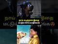 நாய் கடித்தால் இதமட்டும் செய்யாதீங்�