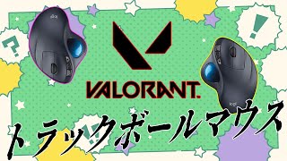 APEX調子悪いみたいだからVALORANTやるトラックボールマウスおじさんプレイ2日目