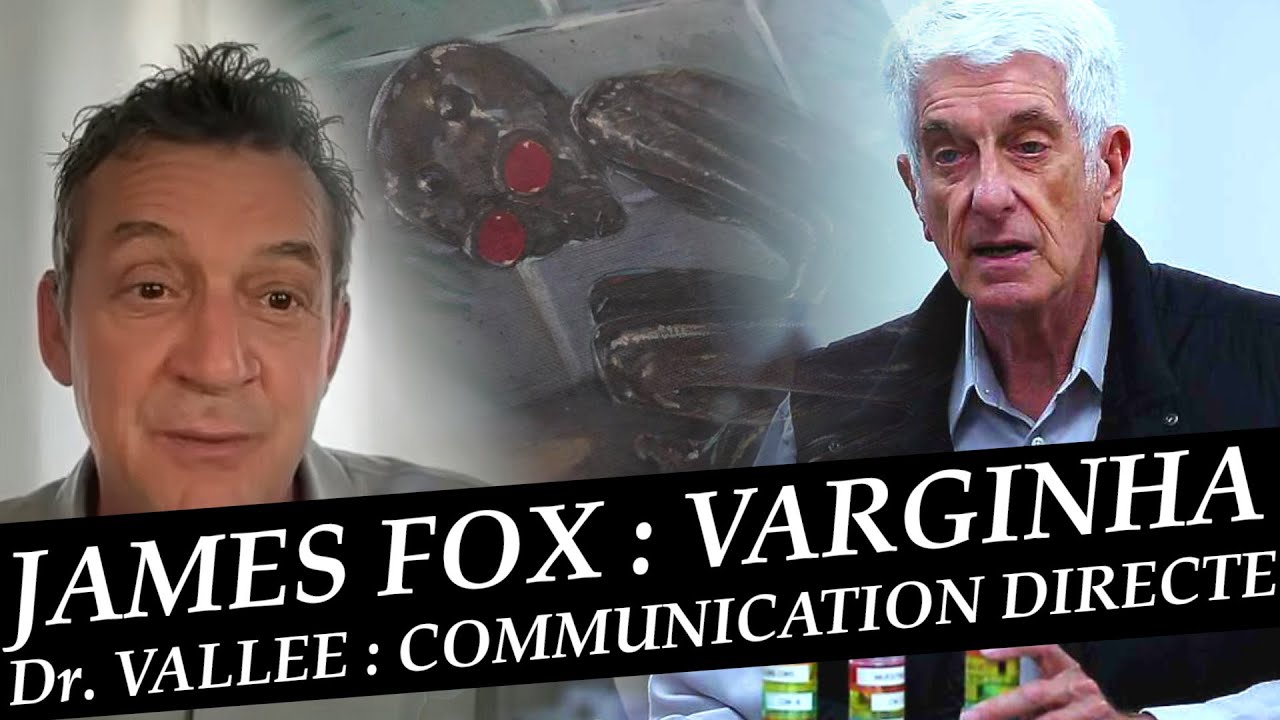 OVNI : Dr. Vallée - une communication directe depuis 20 ans, Fox - nouvelles du cas Varginha