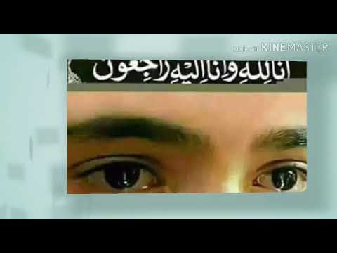 Shiekh mehdi died day