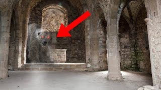 Most MYSTERIOUS Animal Ghost Stories!