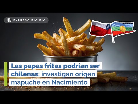 Las PAPAS FRITAS podrían ser chilenas: investigan ORIGEN MAPUCHE en Nacimiento