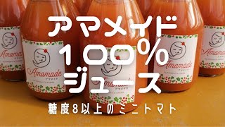 【ミニトマト】アマメイド100％トマトジュース 通年糖度8度以上を誇る「キノシタファーム」＜商品紹介＞