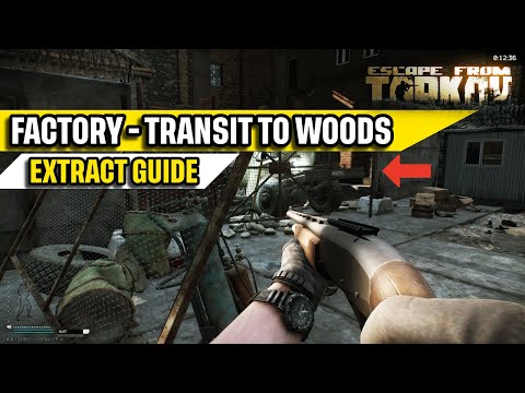 Factory Transit to Woods Extract Escape From Tarkov Quick Guide