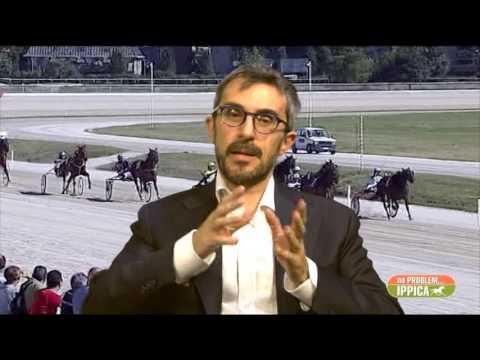 522°NO PROBLEM...IPPICA 22 giugno 2017