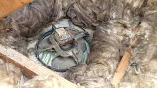 Earthwool R3 5 batts being installed   3 access points   no gaps   exhaust fan 2016 08 22 11 49 53