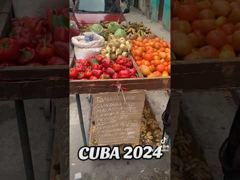 Lo que VENDEN LOS CUBANOS en las Calles de La Habana Cuba #shorts
