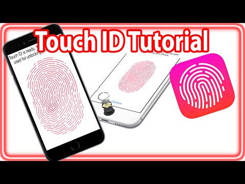How To Setup Touch ID (Fingerprint Scanner) On iPhone