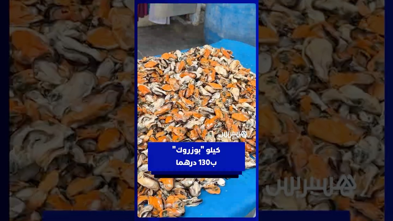 بعد أن كان في حدود 40 درهم   ارتفاع لافت في ثمن بوزروك يناهز 130 درهما thumbnail