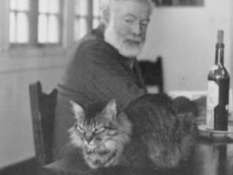 Ernest Hemingway had a  6 toed cat