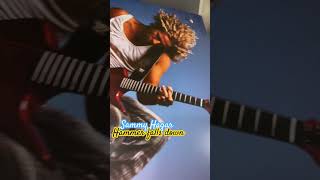 Sammy Hagar /// Hammer Falls Down 🤘🏽🔥 LP