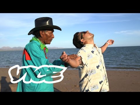 El profeta del sapo | Miscelánea Mexicana