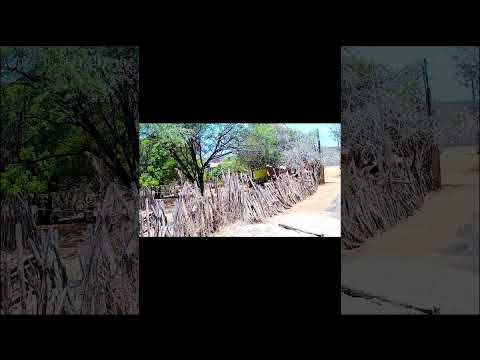 𝐑𝐨𝐝𝐨𝐯𝐢𝐚 (𝐏𝐢𝐚𝐮𝐢́- 144 / 𝐉𝐮𝐫𝐞𝐦𝐚  - 𝐏𝐢𝐚𝐮𝐢́)