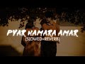 Pyar Hamara Amar Rahega [Slowed Reverb] -Mohammed Aziz, Asha Bhosle | Mithun Chakraborty| Kumar_MT 🎧