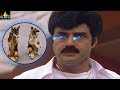 Narasimha Naidu Movie Balakrishna Powerful Dialogues Action Scenes Back To Back Sri Balaji Video
