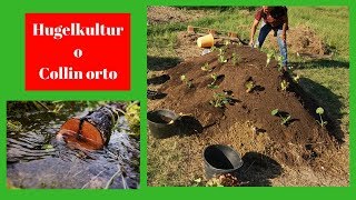 Anteprima video YouTube