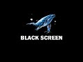 10 Hours HUMPBACK WHALE Sound Deep Ocean With BLACK SCREEN For Sleep Relaxation And Stress Relief