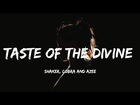 Shaker, cobra and azee - taste of the divine ( Lyrics )