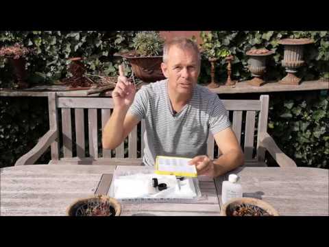 Nassenheider Pro vs  Liebig Dispenser