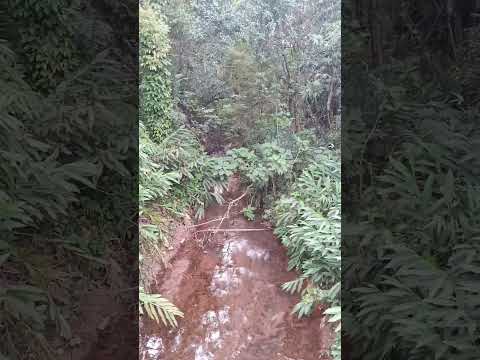 Córrego em  Congonhas MG