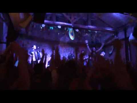 Maria Paula Godoy - O BANDO DE MARIA -Historia de uma gata